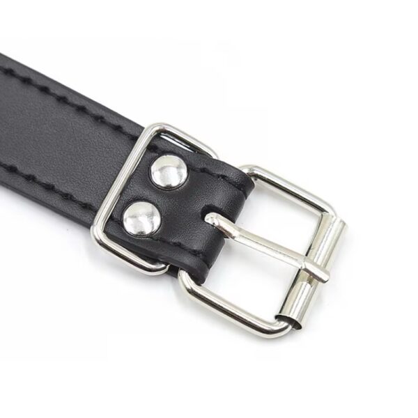 img_7326 Desire Command Chain Gag Set