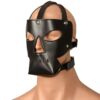 Desire Nightfall Mask