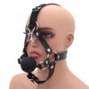 The Gilded Silence Head Harness