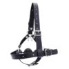 The Gilded Silence Head Harness