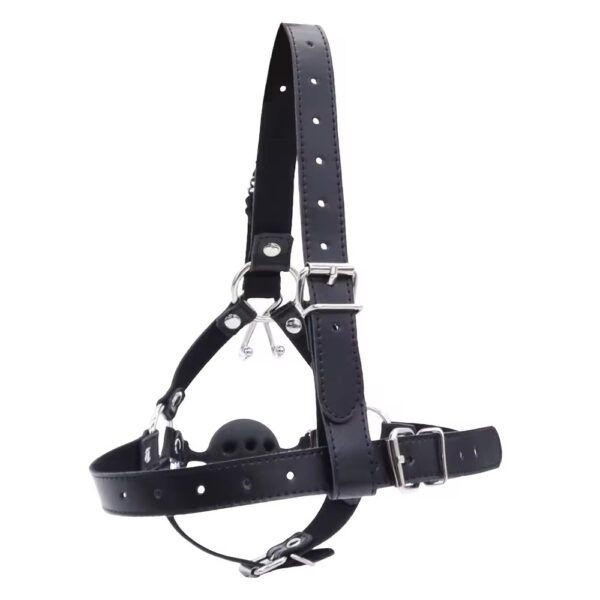 The Gilded Silence Head Harness