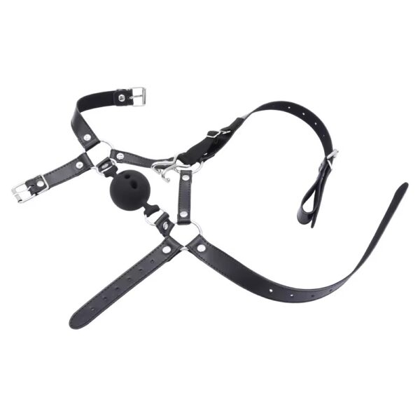 The Gilded Silence Head Harness