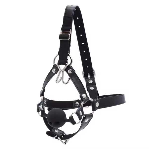 The Gilded Silence Head Harness