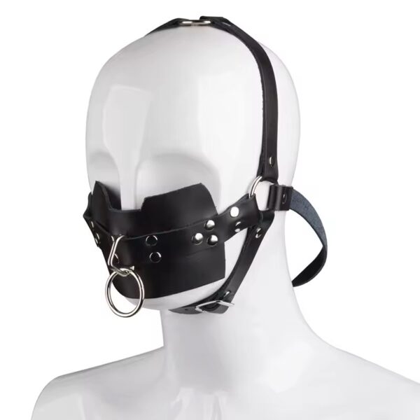 Leather Posture Gag with Interchangeable Silicone Ball