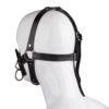 Leather Posture Gag with Interchangeable Silicone Ball