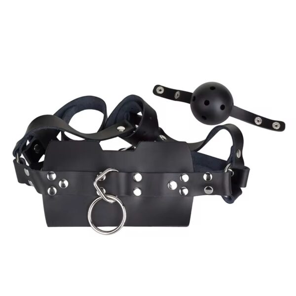 Leather Posture Gag with Interchangeable Silicone Ball