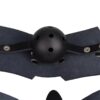 Leather Posture Gag with Interchangeable Silicone Ball