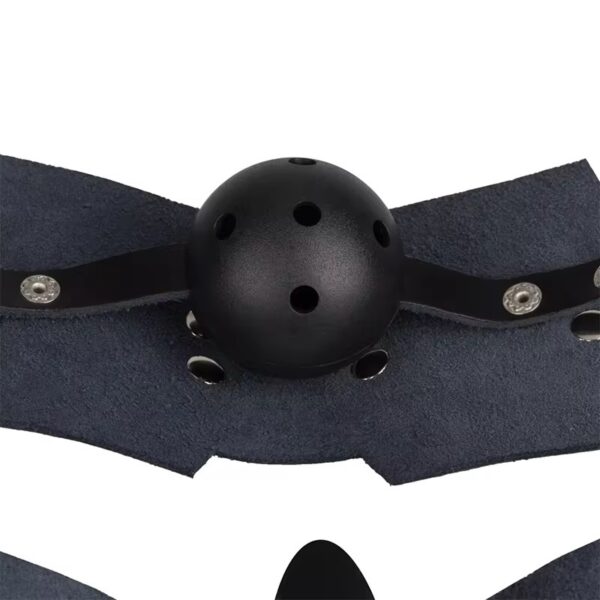 Leather Posture Gag with Interchangeable Silicone Ball