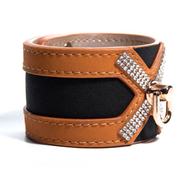 Glittering Gilded Restraints