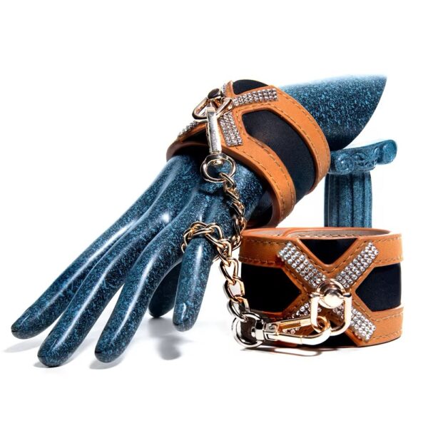 Glittering Gilded Restraints