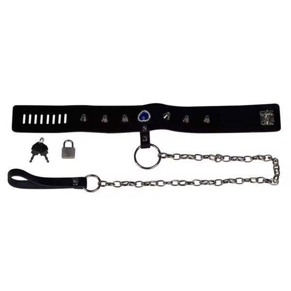 img_7637 O-Ring Chasity Belt