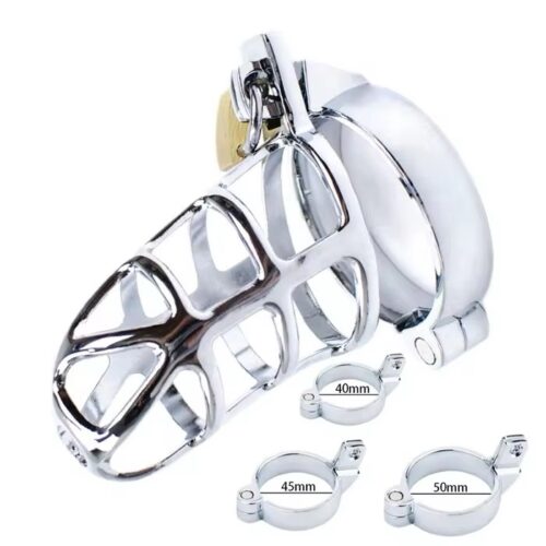 Desire Steel Lock Chastity Cage