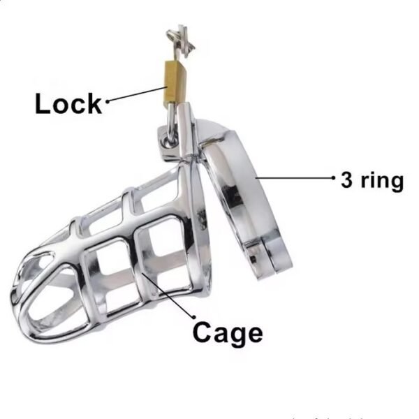 img_7664 Desire Steel Lock Chastity Cage