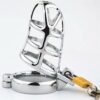 img_7665 Desire Steel Lock Chastity Cage