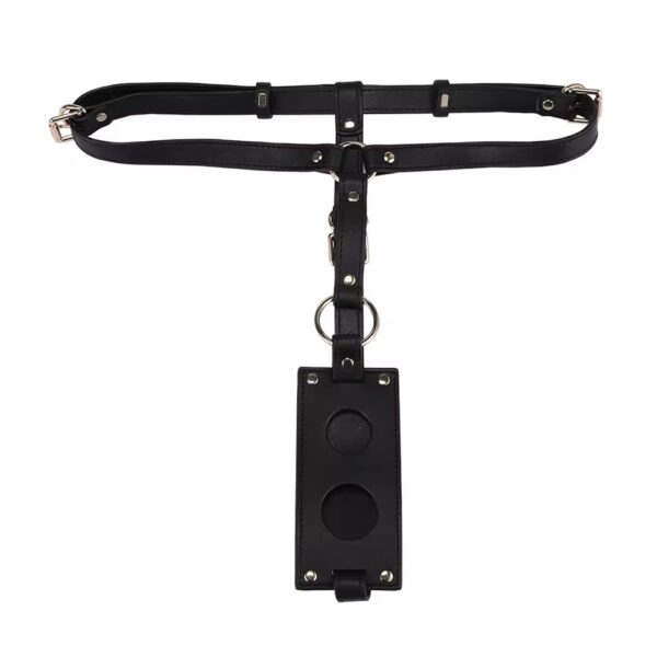 Desire Dual-Fit Strap Harness