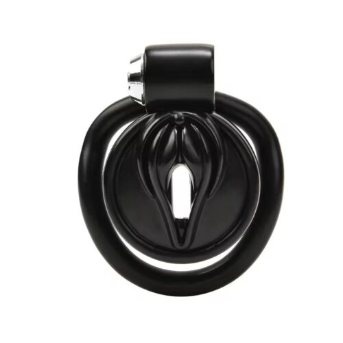 Desire Stealth Lock Chastity Cage