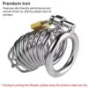 img_7756 Desire Iron Coil Chastity Cage