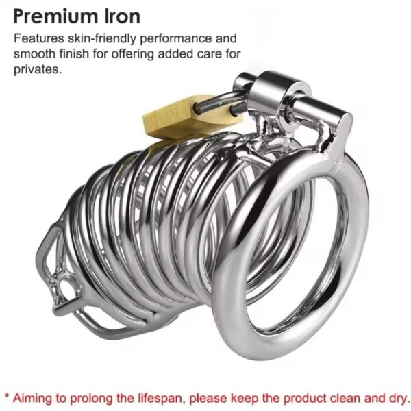 img_7756 Desire Iron Coil Chastity Cage