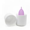 Smart UV & Steam Menstrual Cup Sterilizer